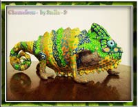 Chameleon 05